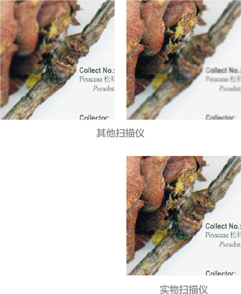 1572503997421089.jpg image008.jpg